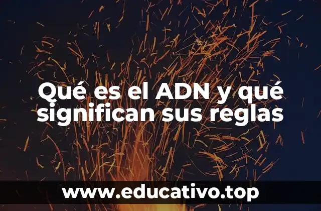 Qué es el ADN y qué significan sus reglas