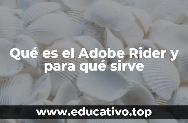 Características y herramientas principales de Rider