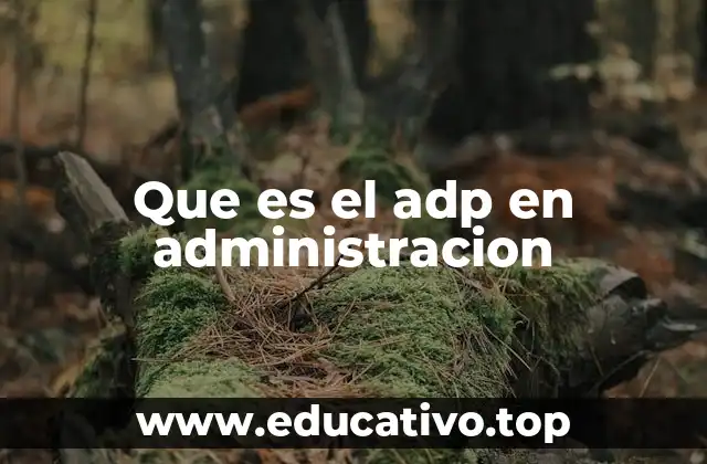 Que es el adp en administracion