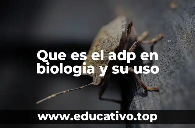 Que es el adp en biologia y su uso