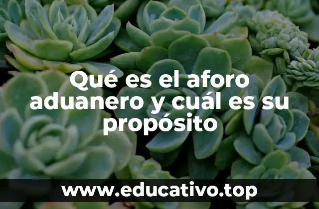 Qué es el aforo aduanero y cuál es su propósito