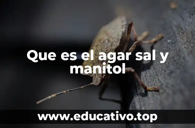 Que es el agar sal y manitol