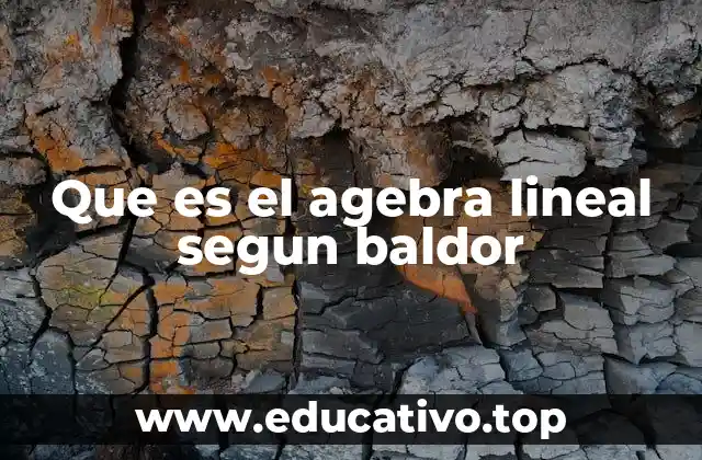 Que es el agebra lineal segun baldor