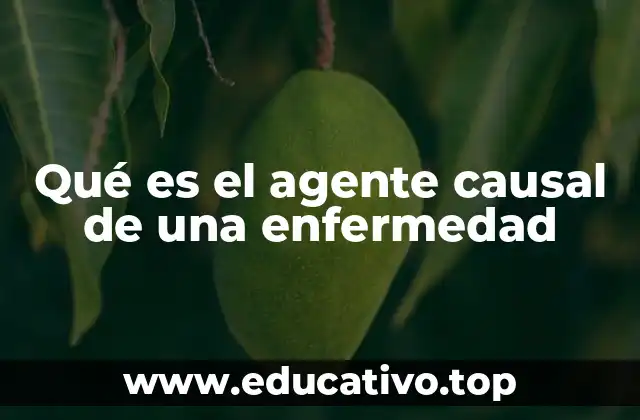 Qué es el agente causal de una enfermedad