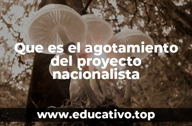 Que es el agotamiento del proyecto nacionalista