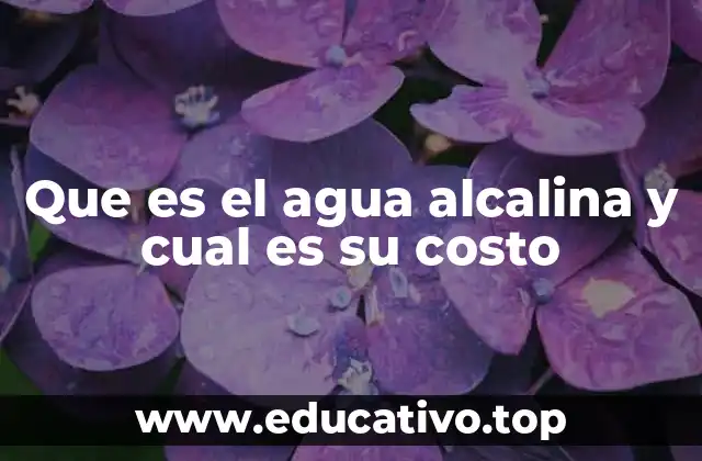Que es el agua alcalina y cual es su costo