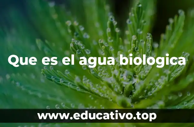 Que es el agua biologica