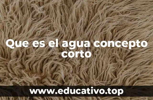 Que es el agua concepto corto