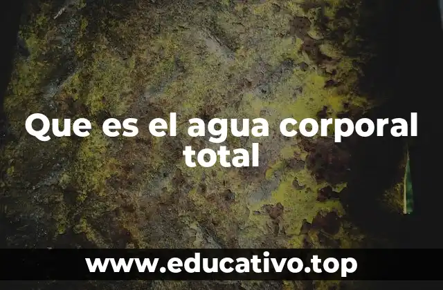 Que es el agua corporal total