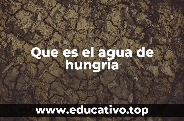 Que es el agua de hungria