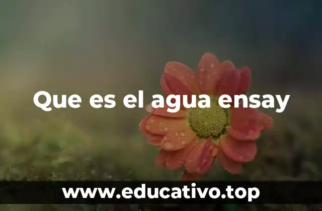 Que es el agua ensay