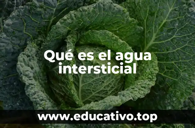 Qué es el agua intersticial