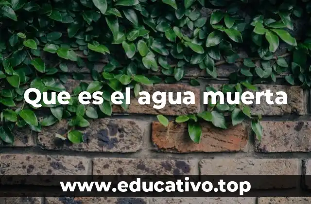 Causas y condiciones que favorecen la formación del agua muerta