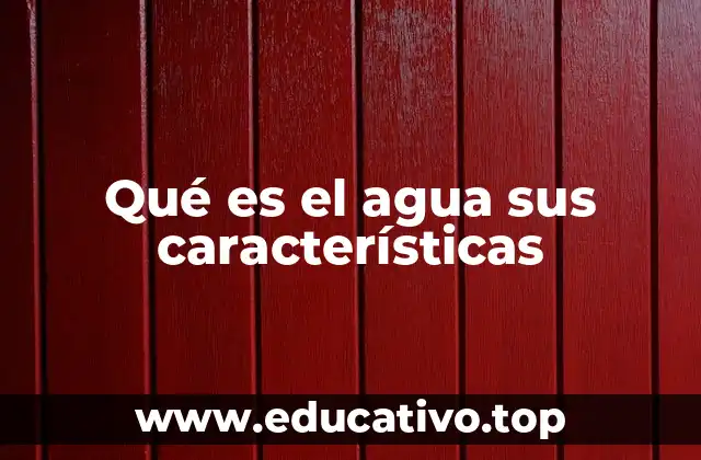 Qué es el agua sus características
