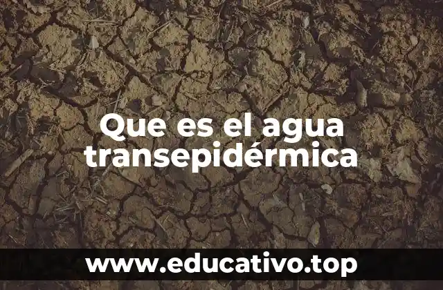 Que es el agua transepidérmica