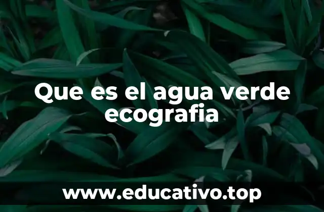 Que es el agua verde ecografia