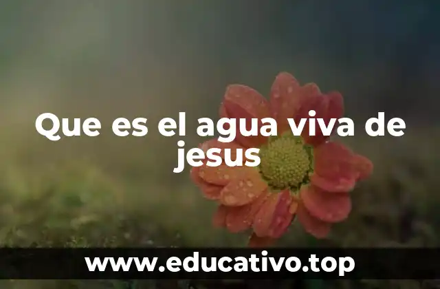 Que es el agua viva de jesus