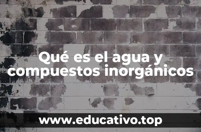 El papel del agua y los compuestos inorgánicos en los seres vivos