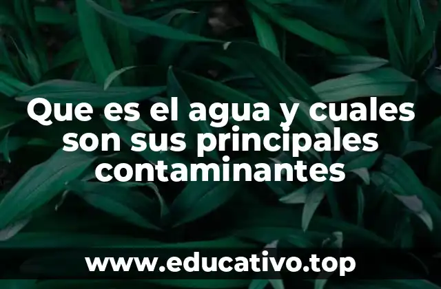 Que es el agua y cuales son sus principales contaminantes