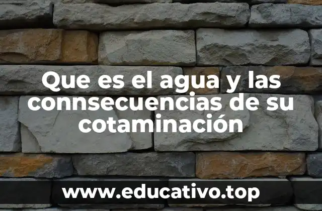 Que es el agua y las connsecuencias de su cotaminación