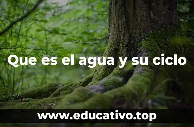 Que es el agua y su ciclo