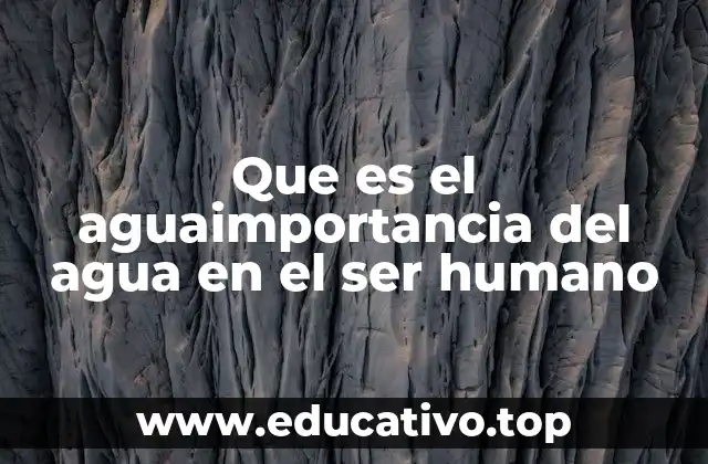 Que es el aguaimportancia del agua en el ser humano