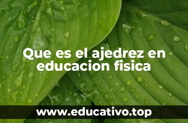 Que es el ajedrez en educacion fisica