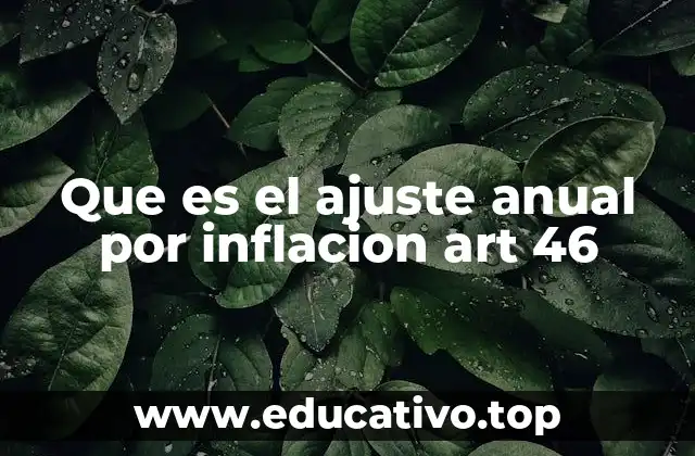 Que es el ajuste anual por inflacion art 46