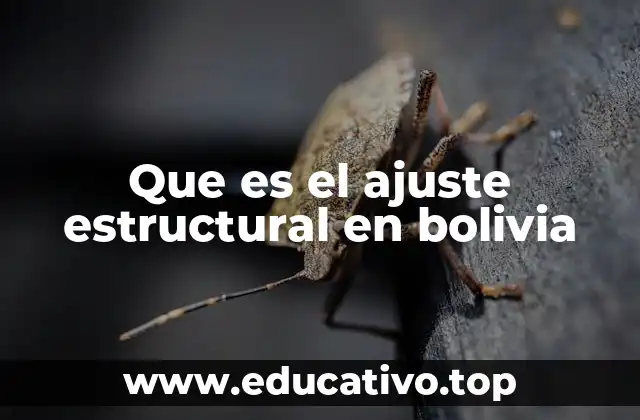 Que es el ajuste estructural en bolivia
