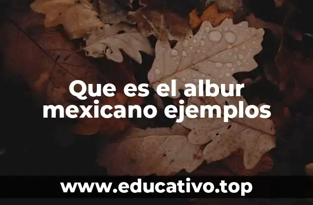 Que es el albur mexicano ejemplos