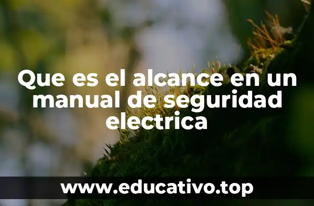Que es el alcance en un manual de seguridad electrica