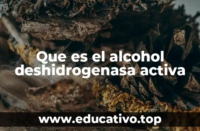 Que es el alcohol deshidrogenasa activa