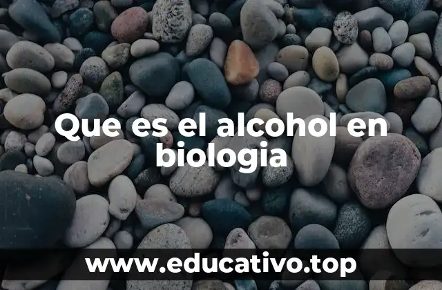 Que es el alcohol en biologia