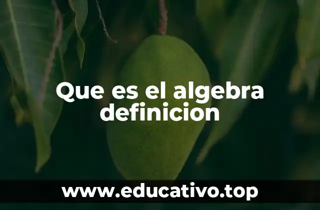 La importancia del álgebra en la ciencia moderna