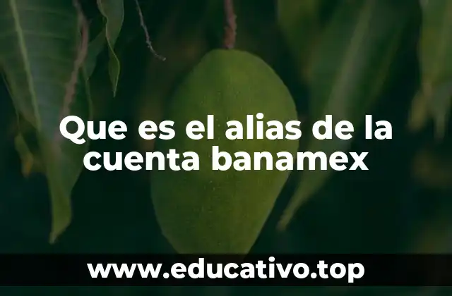 Que es el alias de la cuenta banamex