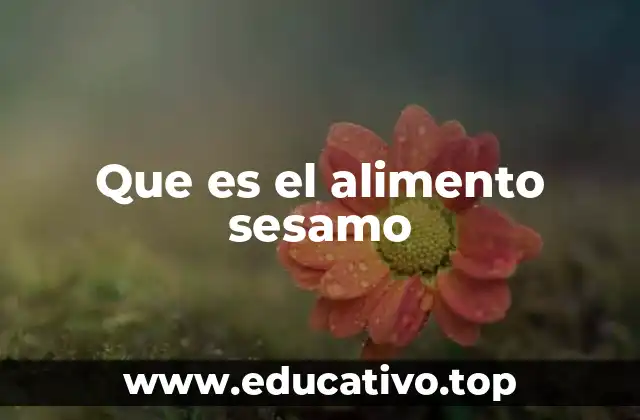 Que es el alimento sesamo