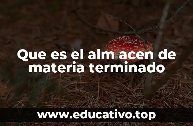 Que es el alm acen de materia terminado