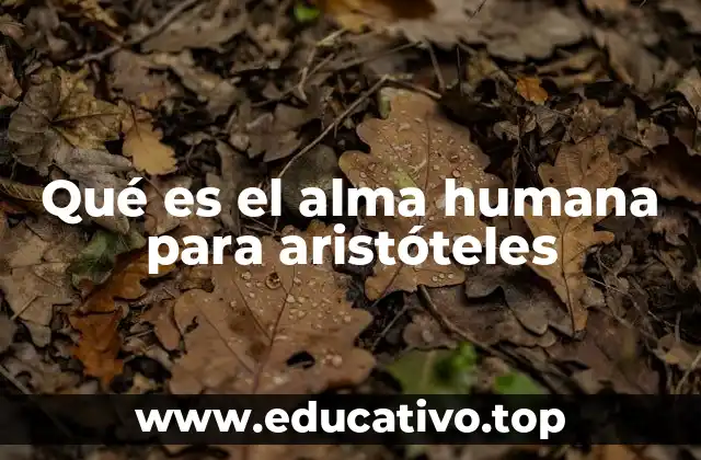 Qué es el alma humana para aristóteles
