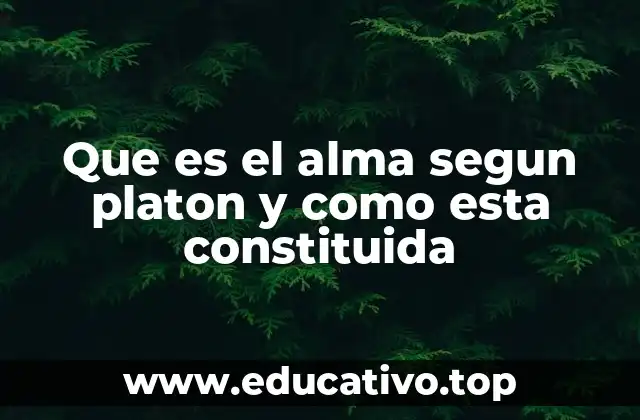 Que es el alma segun platon y como esta constituida