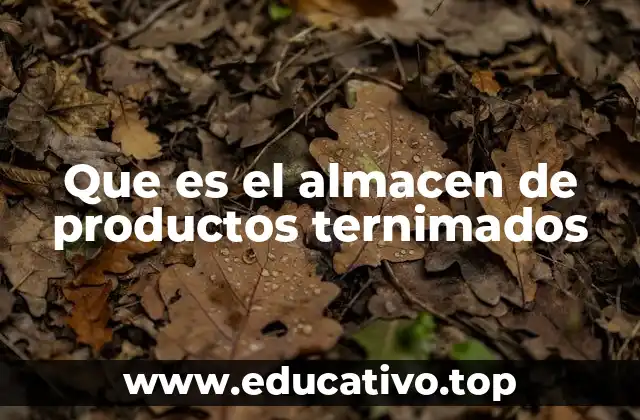 Que es el almacen de productos ternimados