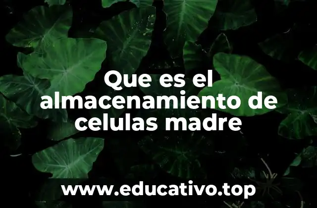 Que es el almacenamiento de celulas madre