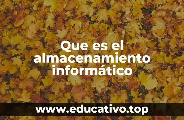 Que es el almacenamiento informático