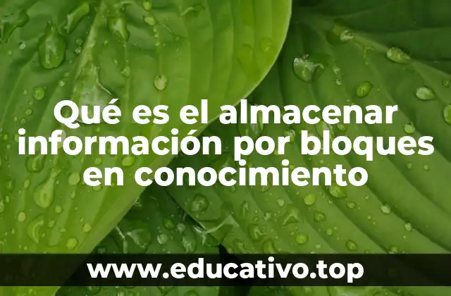 Qué es el almacenar información por bloques en conocimiento