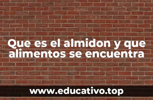 Que es el almidon y que alimentos se encuentra