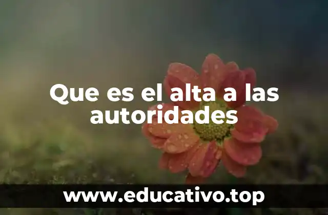 Que es el alta a las autoridades