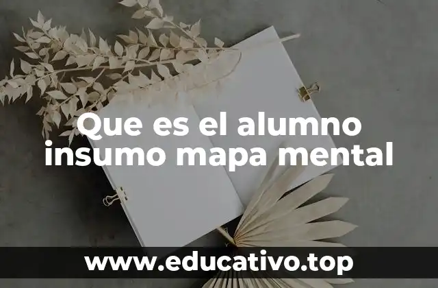 Que es el alumno insumo mapa mental