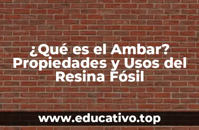 ¿Qué es el Ambar? Propiedades y Usos del Resina Fósil