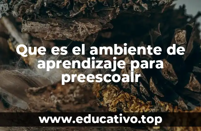 Que es el ambiente de aprendizaje para preescoalr