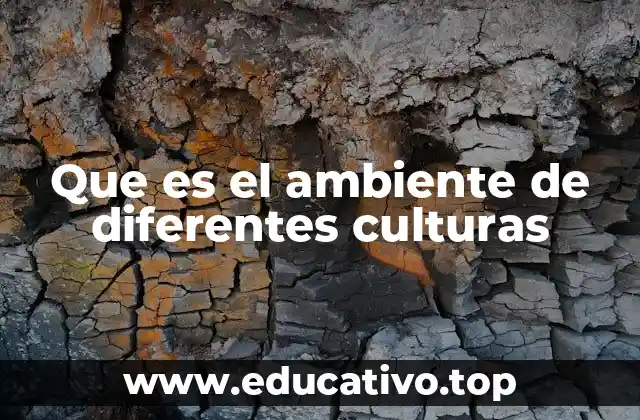 Que es el ambiente de diferentes culturas