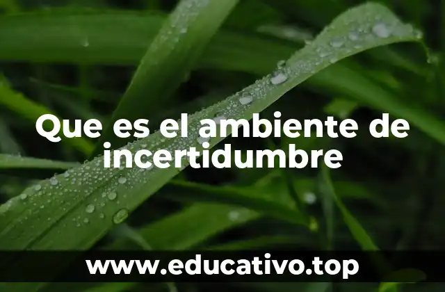 Que es el ambiente de incertidumbre